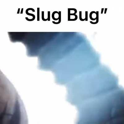 Saw a car. Bug got slugged.