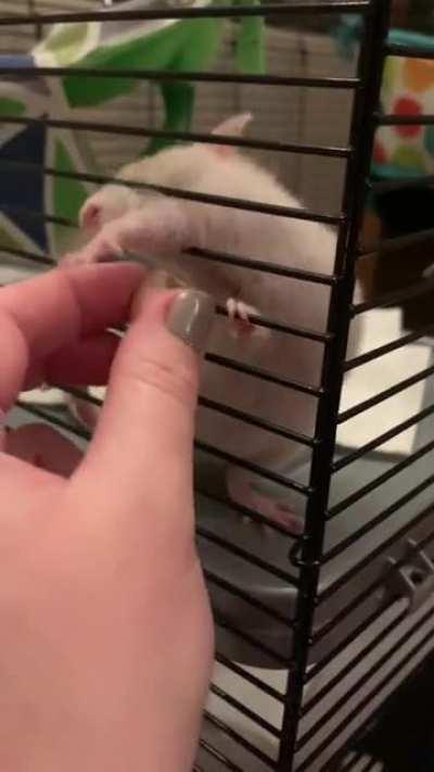 Lil grabbies grabbing