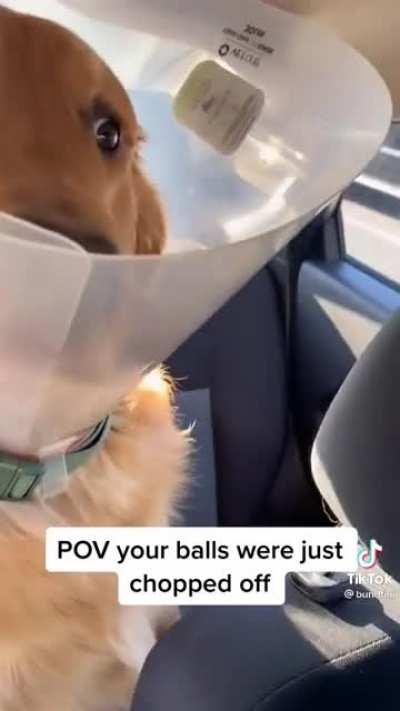 He’ll never trust again