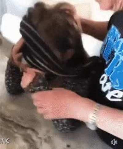 something to try with your kids to check if they are eligible on this sub-reddit.