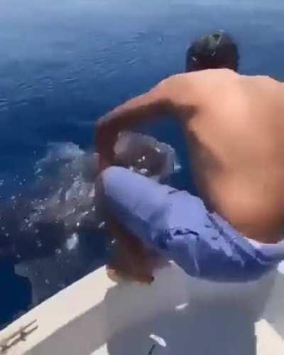 Muquinha olha essa porra