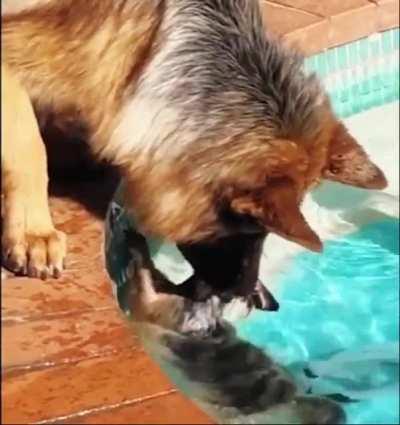 Got your back little bro