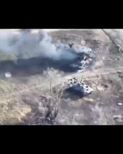 Eyes and Stings: for November 2023, the results of Magyar Birds