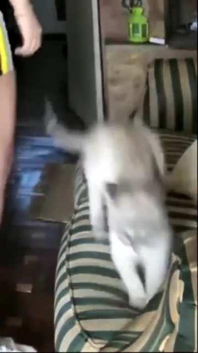 Sorry -- WHAT did you just say??