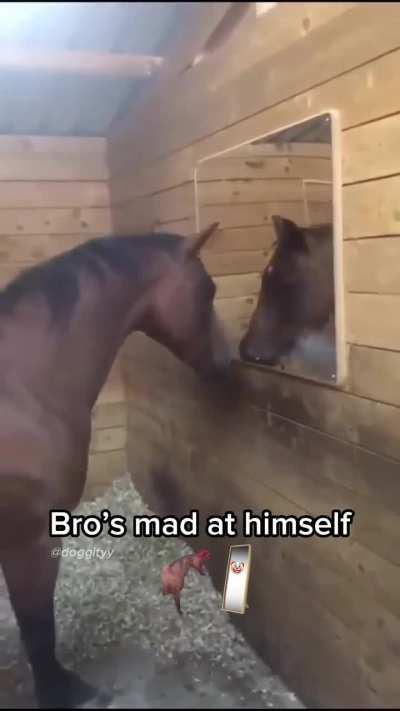 Povestile de pe casualro: