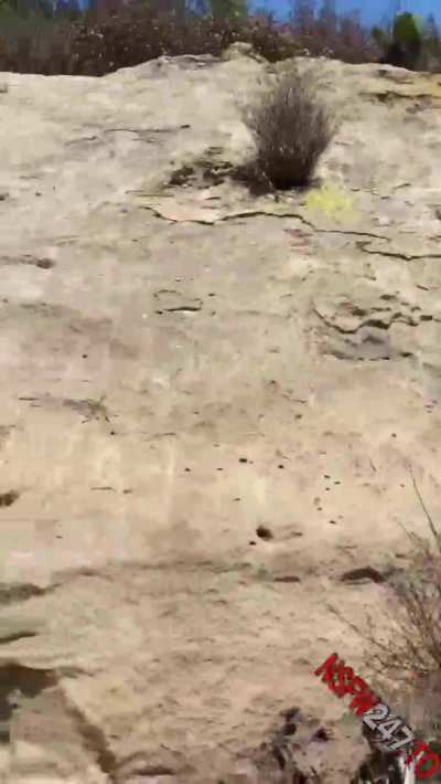 Pretty girl pissing outdoor.
