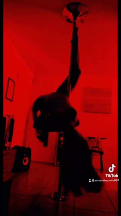 Silhouette challenge ❤️ how did I do?