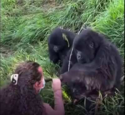 No means No, else FAFO from your own lady!