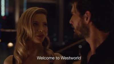 Welcome to Westworld