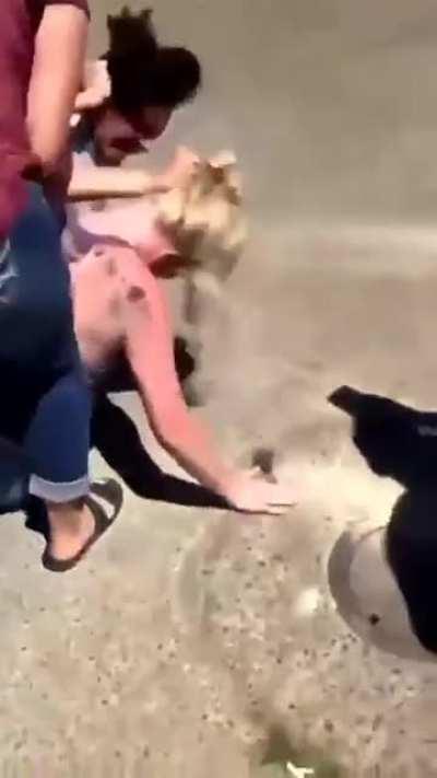 These two really hate each other