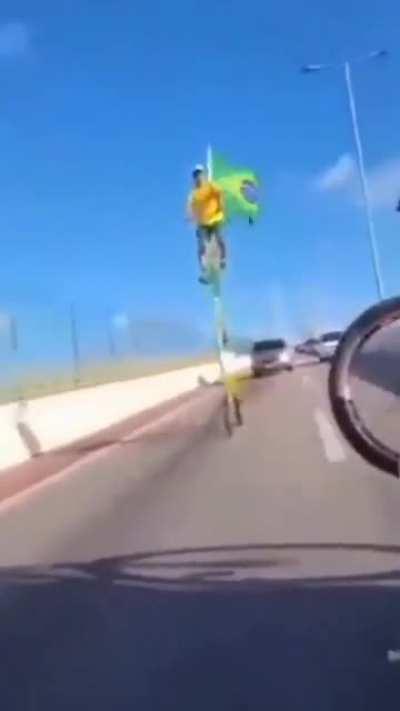 Average Bolsonaro Supporter 💪👏💪👏🟢🟡