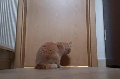 Whenever I go to the bathroom without her. 17 yells in 43 seconds