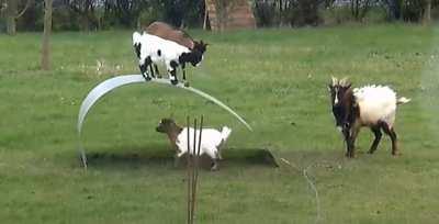 When was the last time you had so much fun?