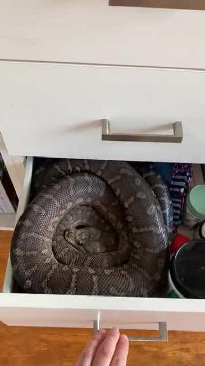 Nope drawer