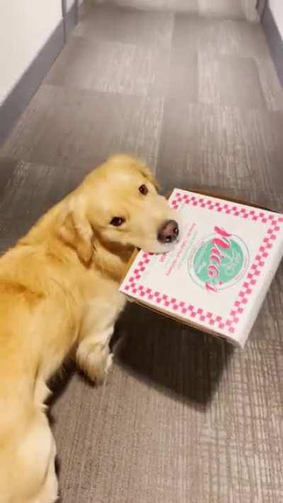 Did somebody order a pizza?