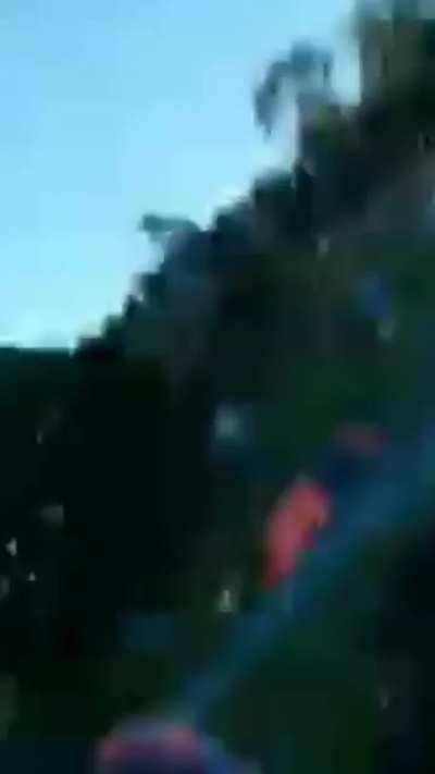 caralho filho da puta