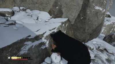 The Bare Standoff: Who will strike first?