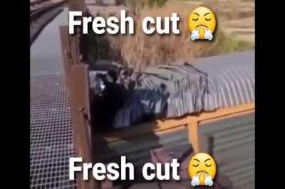 10/10 for sure 👍 🙂