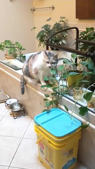 We told her to stop chowing down on the plants, but now she's just pretending.