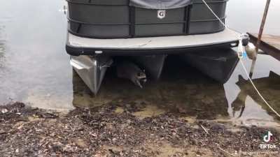 It’s that time of year!! 🌷🌱🚤