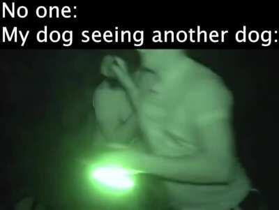 UNNUS ANNUS- last memes