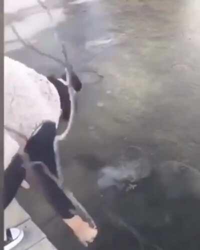 HCGW if I put all my weight on this stick to break the ice?