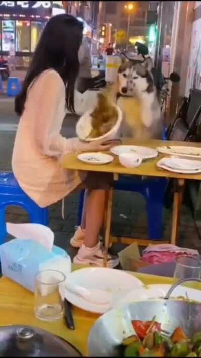 Real jerks don't bite