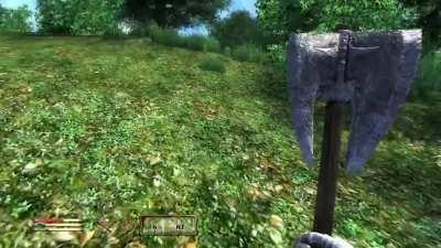 I stand by the point that Oblivion has the smartest AI of any game