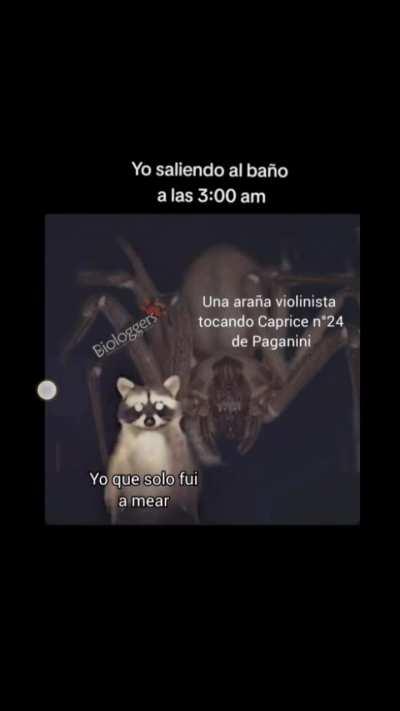 Este meme tiene varias capas