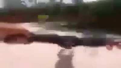 Macaco dando vueltas (re hermoso)😘😩