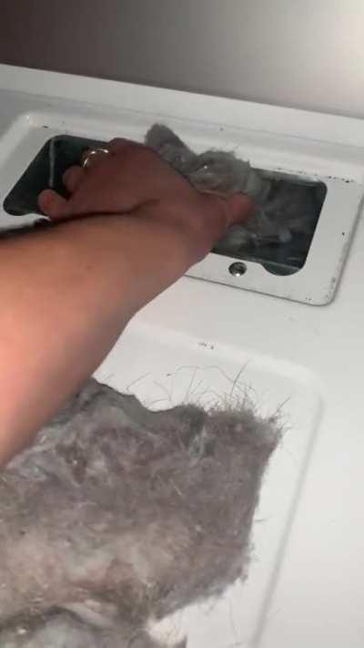 Idiots almost setting fire to their home