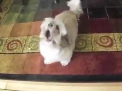 His scream is worse than his bite