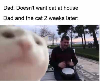 It really do be like that.