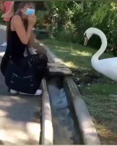 Friendly reminder: put your mask on.