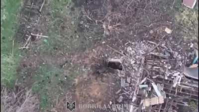 Ukrainian UGV blows up a basement after being chased by two animals. April 2025