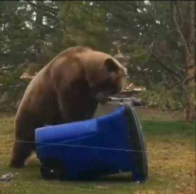 Come On. Don't. Die. On. Me. Dust Bin.