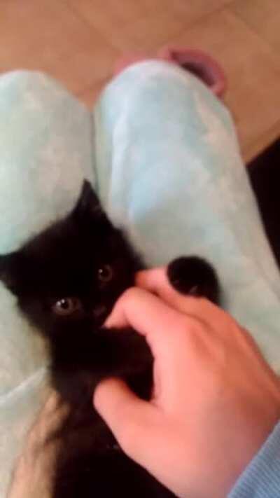 First time I played fight with my little demon