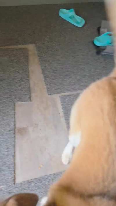 A short tantrum