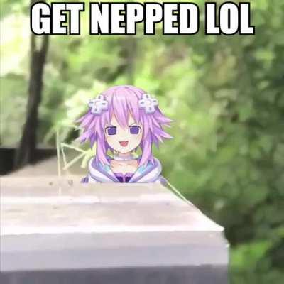 Get nepped lol