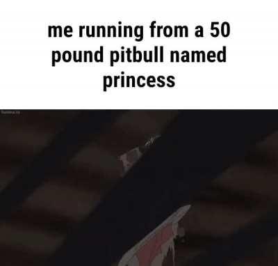 you are not fast enough 😈