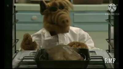 Alf cozinhado