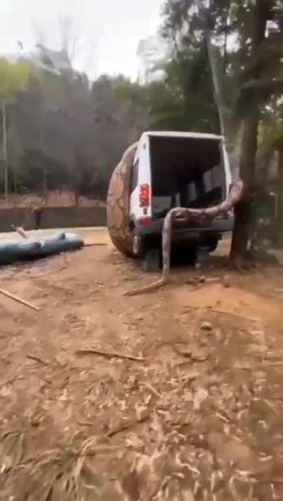 Never thought I would see my nightmare in real life.