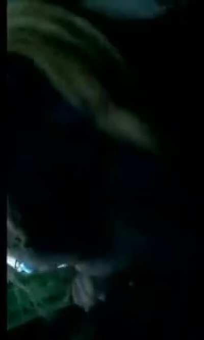 She’s A Treesh Frfr I need next