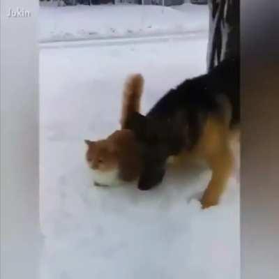 I didn't see this coming