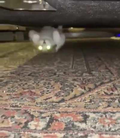 The monster under your bed