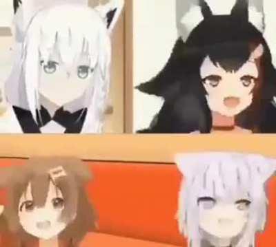 Council of my last 4 braincells