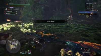 Everyone is talking about how much Fatalis's fire hurt but here is my friend and i getting hit by a Viper Tobi Kadachi missile