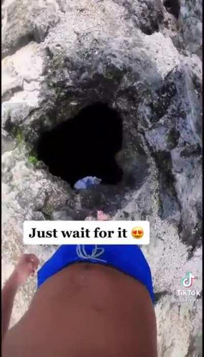 I almost passed out watching this