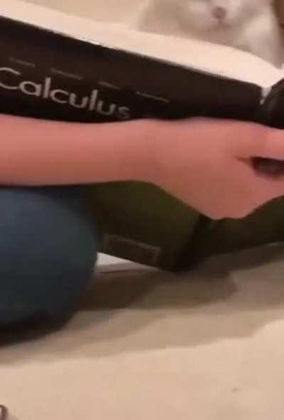 Getting ready for the exam