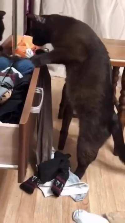 Short daily video report. Many achievements scored.